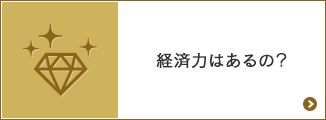 経済力はあるの？